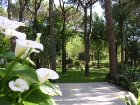 Hotel Valdor Cavallino